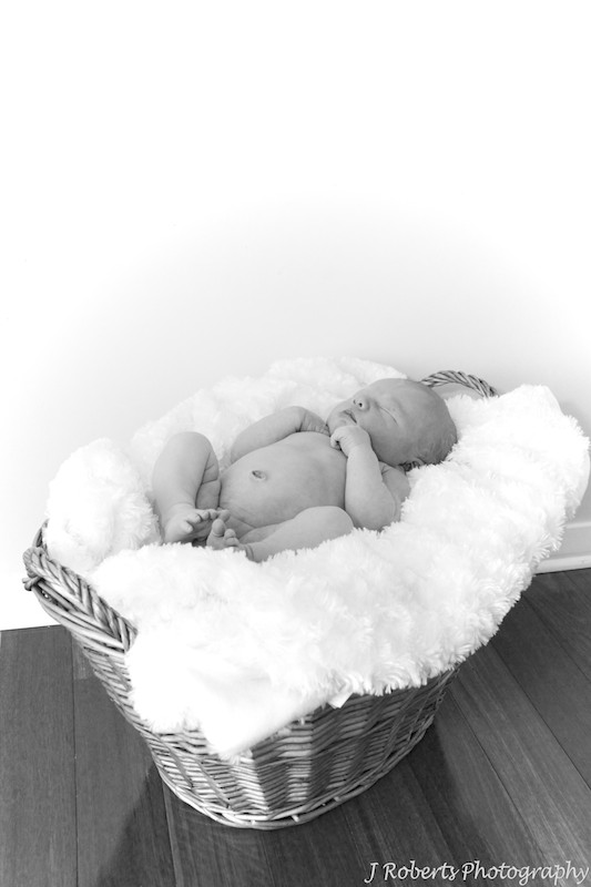 baby asleep in a basket - newborn portrait photography
